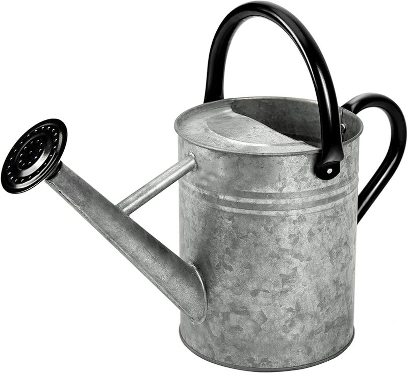 yourjoy Metal Watering Can, One Gallon Watering Cans Stainless Steel for Outdoor Indoor Garden Plants Watering (Silver 1 Gallon) - Image 1